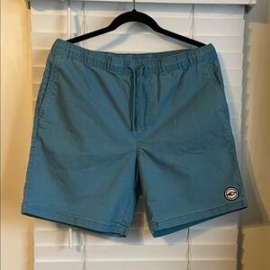 Men's Teal Hybrid Shorts